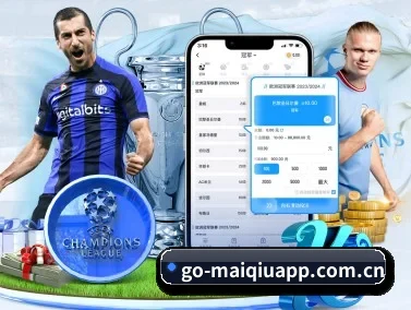 买球官网 APP